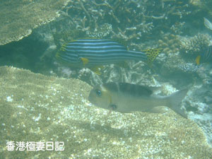 f0190653_1133730.jpg