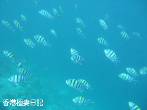 f0190653_1134356.jpg