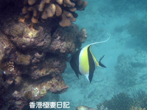 f0190653_113738.gif
