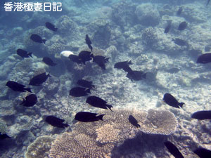 f0190653_1172113.jpg
