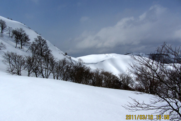 f0007956_1484236.jpg