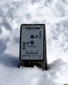 f0007956_1493366.jpg