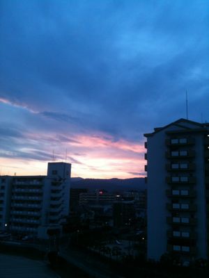 f0194457_07431.jpg