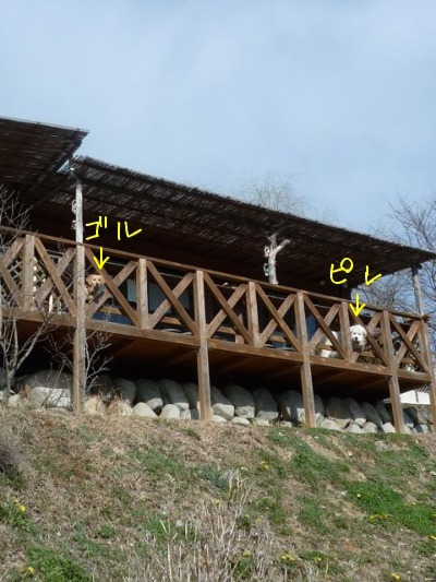 f0177261_821256.jpg