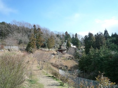 f0177261_824494.jpg