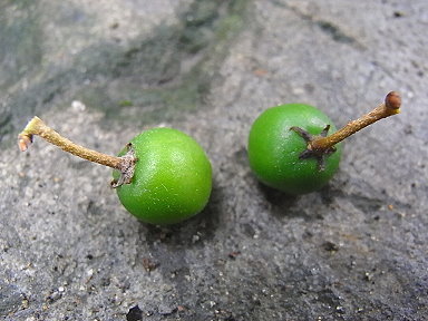 f0215268_15221497.jpg