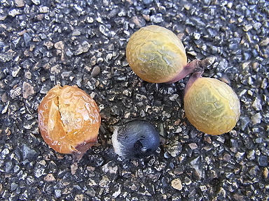 f0215268_1563737.jpg