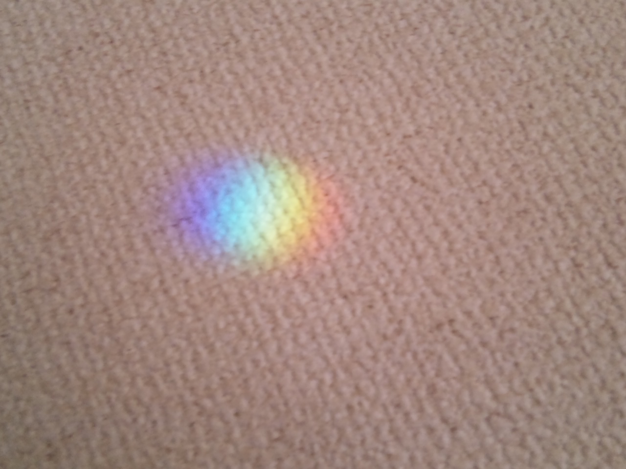 d0116870_8293111.jpg