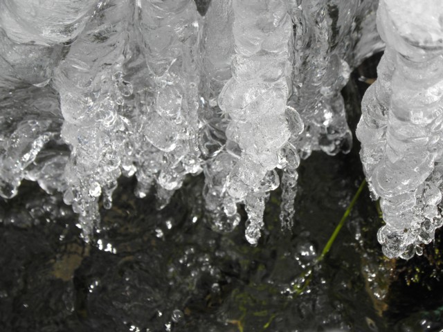 d0134473_16351690.jpg
