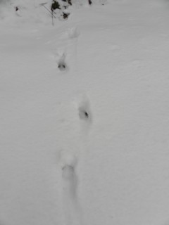 d0134473_16434179.jpg