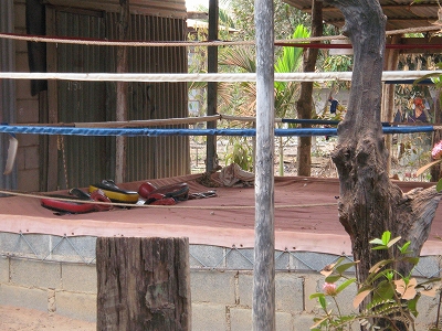 d0144077_254231.jpg