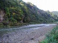 a0142083_20454451.jpg