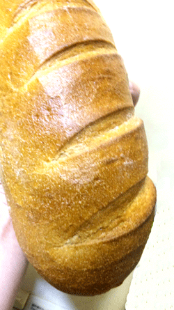 c0037384_1224265.gif