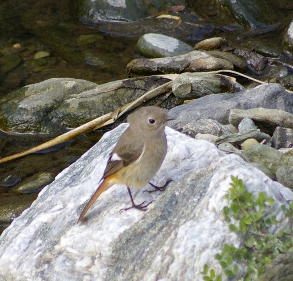 e0197884_162064.jpg