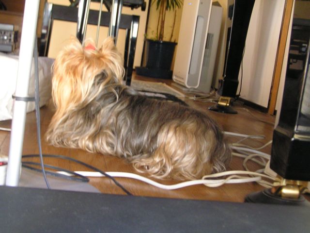 f0130894_20221189.jpg