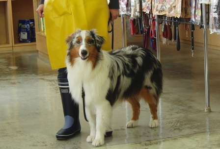 f0077697_1911559.jpg