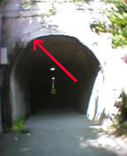 e0103408_18384187.jpg