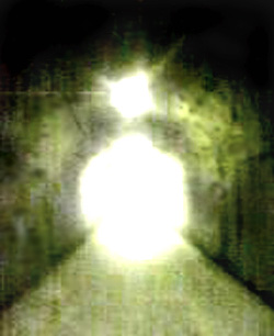 e0103408_18385445.jpg