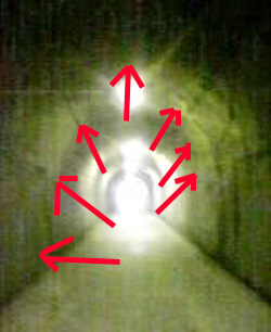e0103408_1839249.jpg