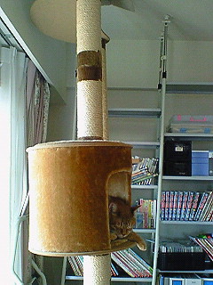 c0145016_91918100.jpg