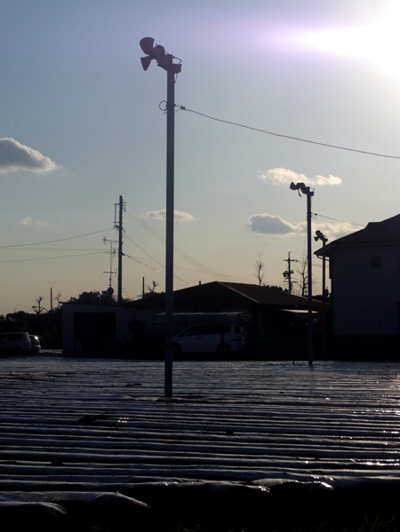 e0083517_13172081.jpg