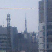 d0106518_16534590.jpg