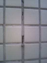 d0106518_17731100.jpg