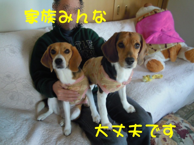 c0166622_8593893.jpg