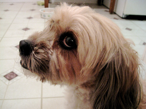 c0148627_18264511.jpg