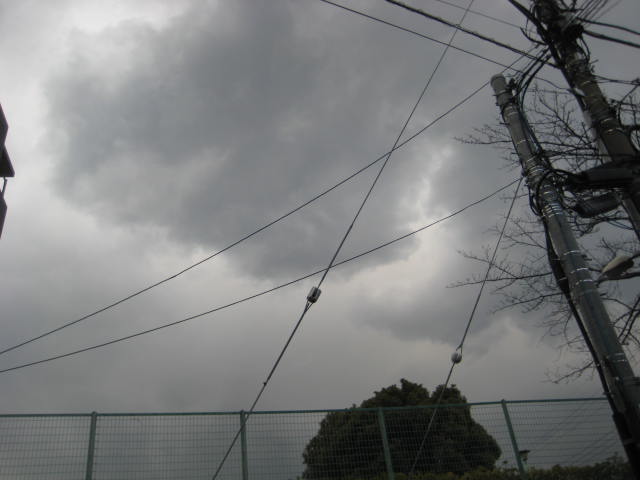 e0166032_2255378.jpg