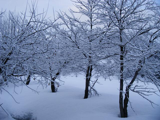 e0146841_2215616.jpg