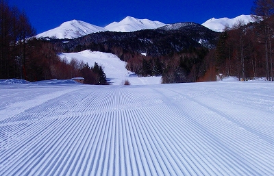 f0182173_11344727.jpg