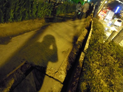 d0044986_1301182.jpg