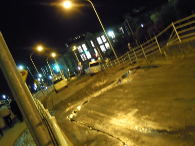 d0044986_1394310.jpg