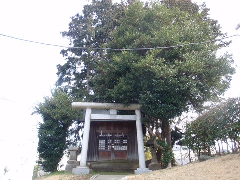 d0034291_1422985.jpg