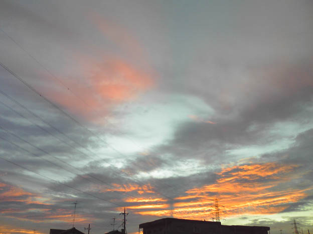 c0004193_16404129.jpg