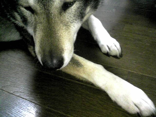 f0079202_1951887.jpg
