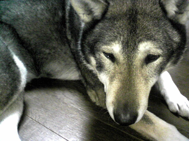 f0079202_1951888.jpg