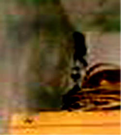 e0103408_1552451.jpg