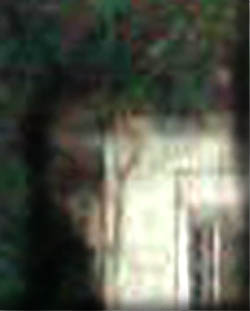 e0103408_1565100.jpg