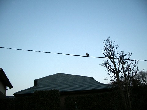 c0190010_21172762.jpg