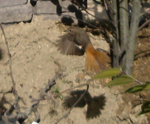 c0190010_215168.jpg