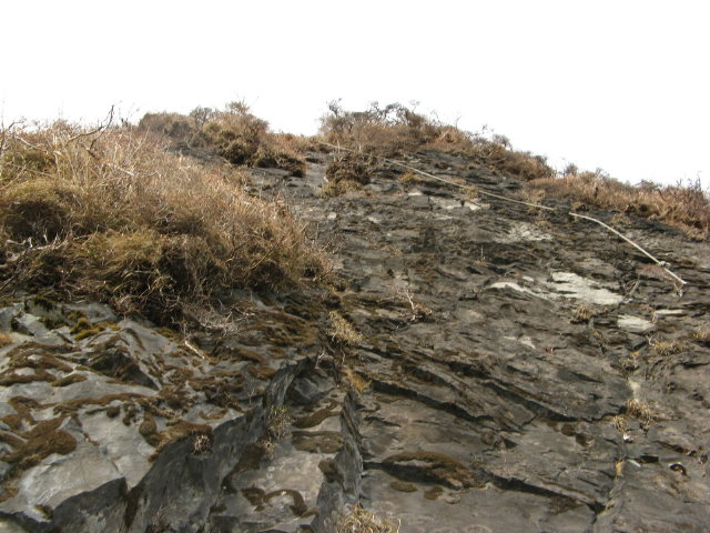 d0006512_23192792.jpg