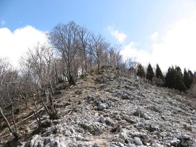 d0006512_2338328.jpg