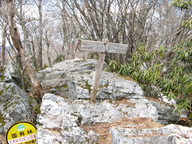 d0006512_234197.jpg