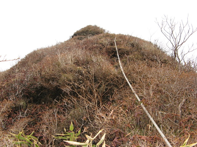 d0006512_237644.jpg