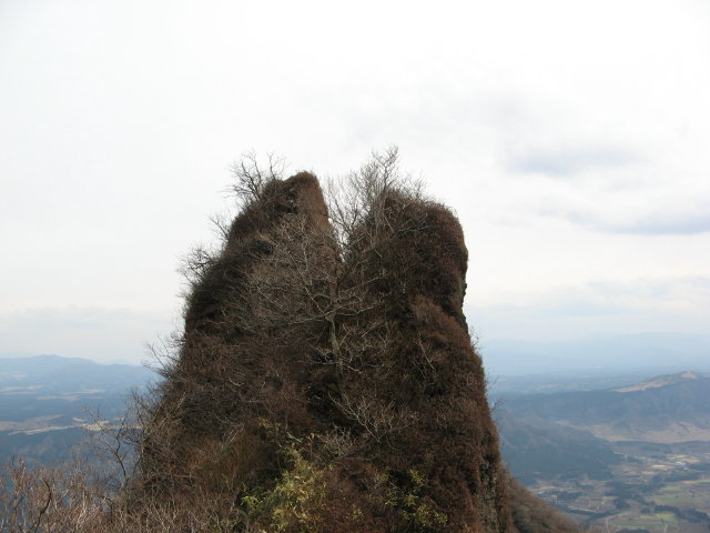 d0006512_239122.jpg