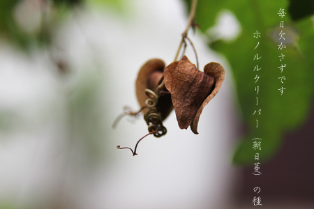 d0042827_0162557.jpg