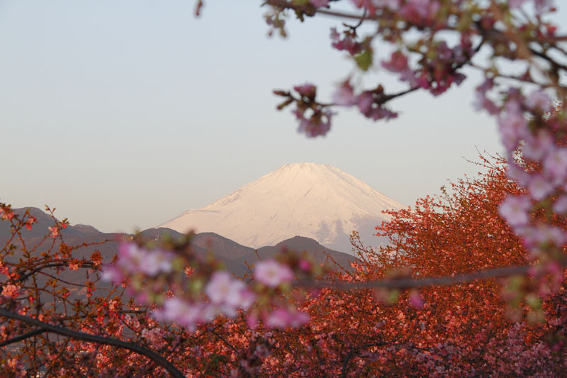 b0042837_2595020.jpg