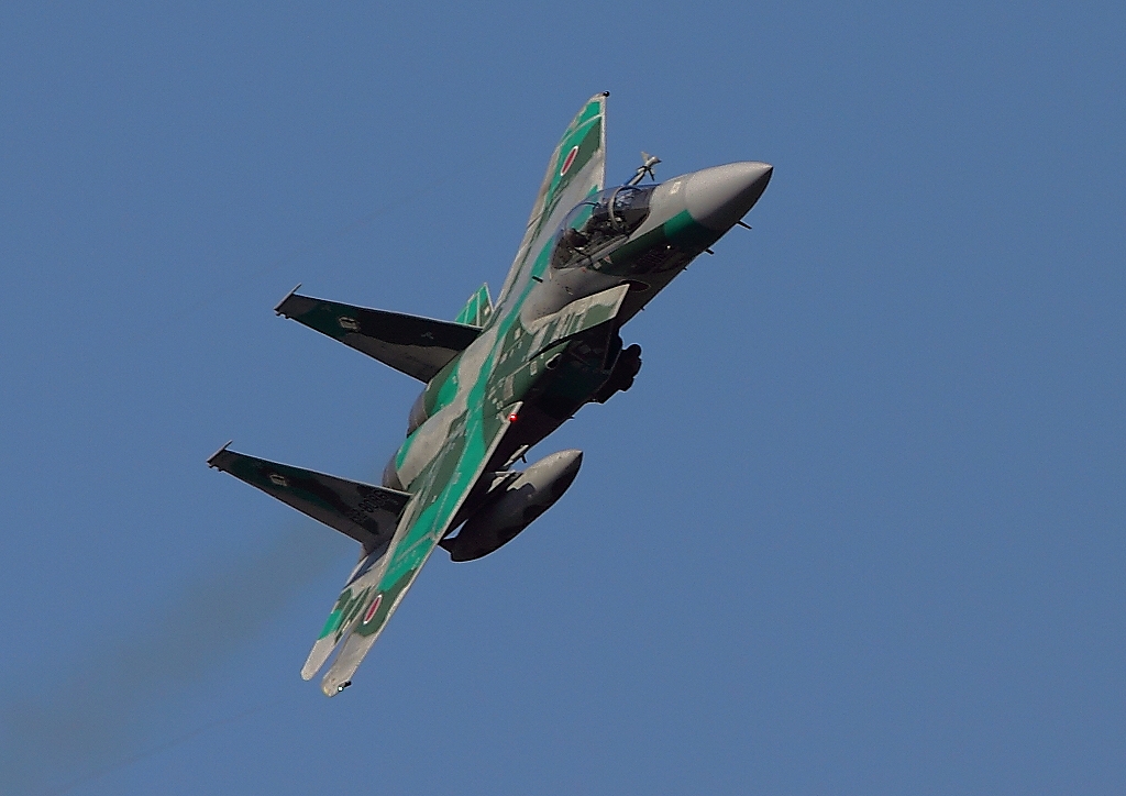 d0193838_1039546.jpg